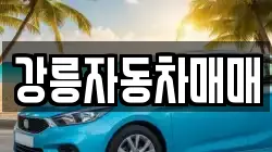 강릉자동차매매