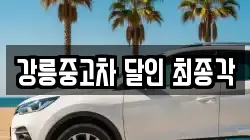 강릉중고차 달인 최종각