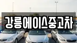 강릉에이스중고차