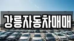 강릉자동차매매