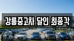 강릉중고차 달인 최종각