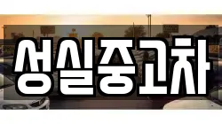 성실중고차