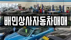 배민상사자동차매매
