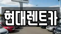 강원특별자치도 강릉시 견소동 렌트카,단기렌트카,장기렌트카,중고차,중고차매매,중고차매입
