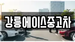 강릉에이스중고차