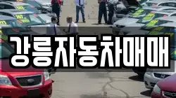 강릉자동차매매