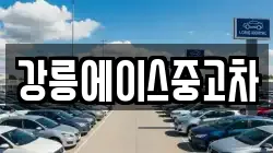 강릉에이스중고차