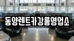 강원특별자치도 강릉시 난곡동 렌트카,단기렌트카,장기렌트카,중고차,중고차매매,중고차매입