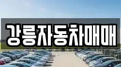 강릉자동차매매