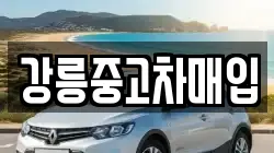 강릉중고차매입