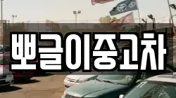뽀글이중고차