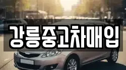 강릉중고차매입