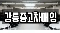 강릉중고차매입
