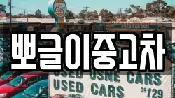 뽀글이중고차