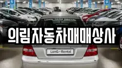 의림자동차매매상사