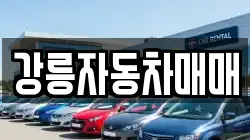 강릉자동차매매