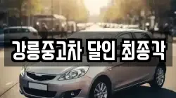 강릉중고차 달인 최종각