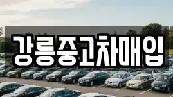 강릉중고차매입