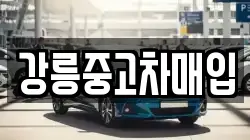 강릉중고차매입