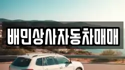 배민상사자동차매매