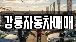 강릉자동차매매