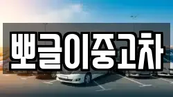 뽀글이중고차