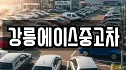 강릉에이스중고차