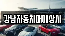 강남자동차매매상사