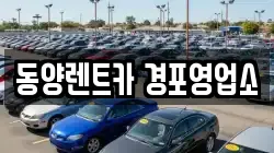 강원특별자치도 강릉시 청량동 렌트카,단기렌트카,장기렌트카,중고차,중고차매매,중고차매입