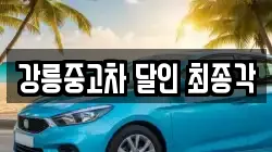 강릉중고차 달인 최종각