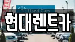 강원특별자치도 강릉시 학동 렌트카,단기렌트카,장기렌트카,중고차,중고차매매,중고차매입
