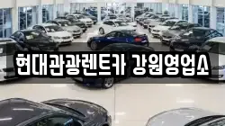 강원특별자치도 강릉시 홍제동 렌트카,단기렌트카,장기렌트카,중고차,중고차매매,중고차매입