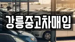 강릉중고차매입