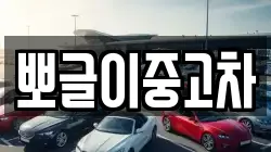 뽀글이중고차
