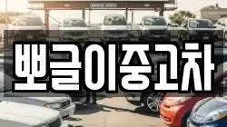 뽀글이중고차