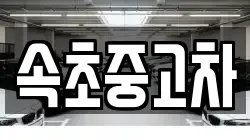 속초중고차