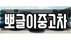 뽀글이중고차