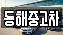 동해중고차