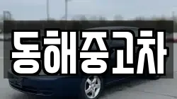 동해중고차