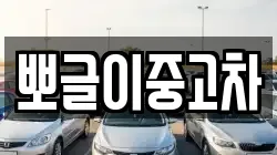 뽀글이중고차