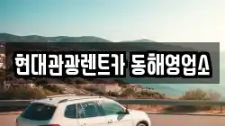 강원특별자치도 동해시 귀운동 렌트카,단기렌트카,장기렌트카,중고차,중고차매매,중고차매입
