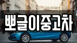 뽀글이중고차