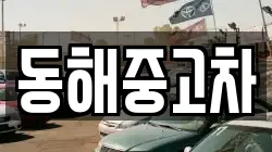 동해중고차