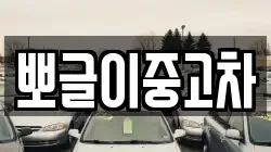 뽀글이중고차