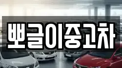 뽀글이중고차