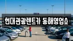 강원특별자치도 동해시 단봉동 렌트카,단기렌트카,장기렌트카,중고차,중고차매매,중고차매입