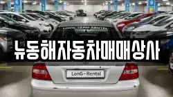 뉴동해자동차매매상사