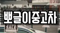 뽀글이중고차