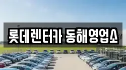 강원특별자치도 동해시 이도동 렌트카,단기렌트카,장기렌트카,중고차,중고차매매,중고차매입