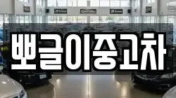 뽀글이중고차